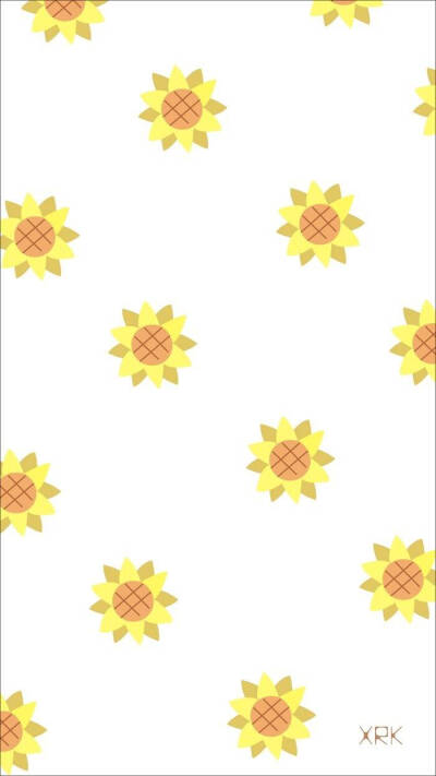 #旧街俗人 太阳花