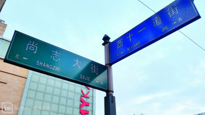 ♡哈尔滨尚志大街、西十一道街路牌。