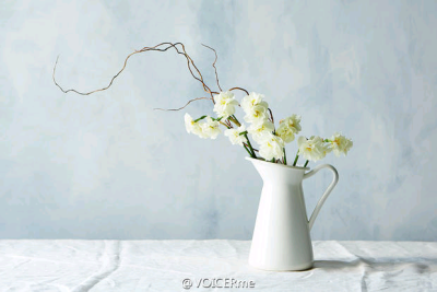 如何选择适合的花器来搭配春季美丽的花束？7种简单的插花方式供你参考，记住哦，越简单往往越耐看