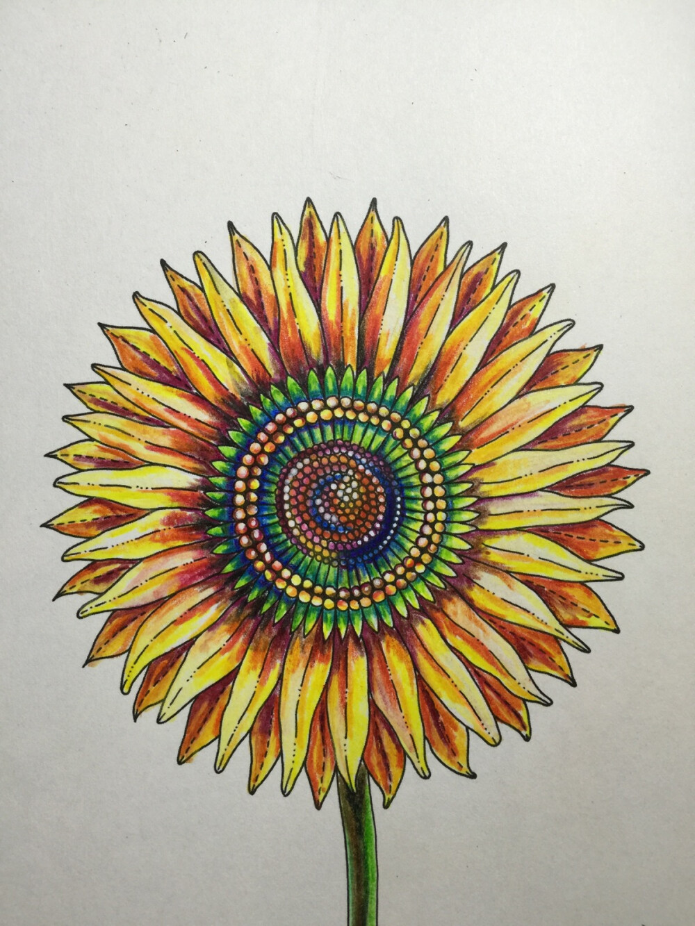 秘密花园向日葵