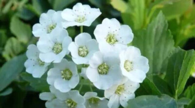 处事 堆糖 美图壁纸兴趣社区