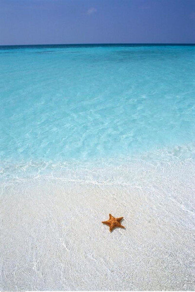 唯美风景 海洋 沙滩 自然风景 iphone手机壁纸 唯美壁纸 锁屏