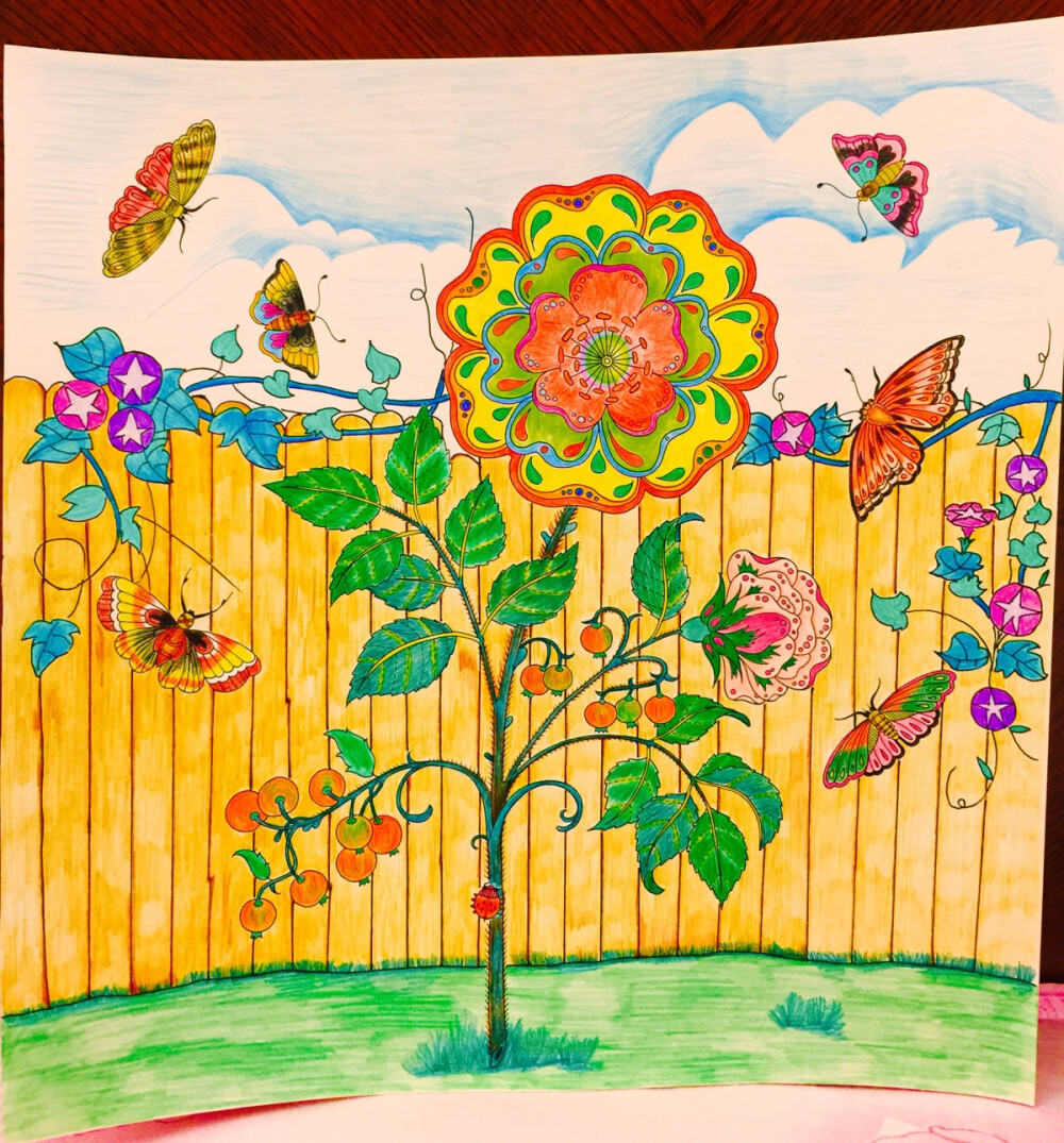 秘密花园自己画的第二幅铅笔画