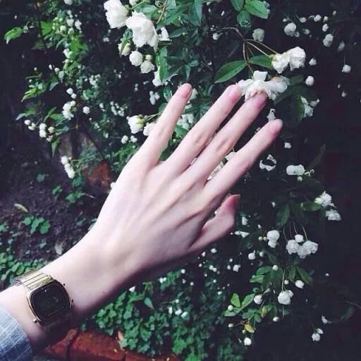 hand