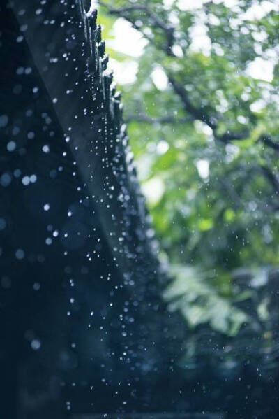 檐下雨 古风 绿意 美景