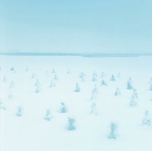 【阿木】白日梦蓝 作者：Makanai Hitoshi