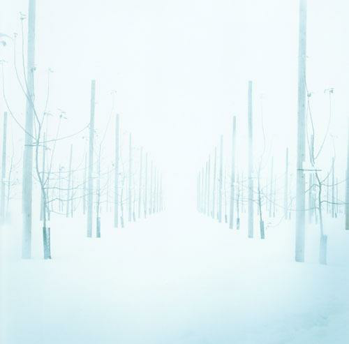 【阿木】白日梦蓝 作者：Makanai Hitoshi