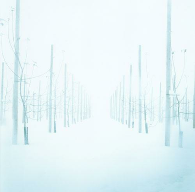 【阿木】白日梦蓝 作者：Makanai Hitoshi