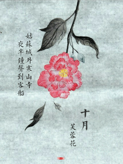 点青原创#手绘插画##十二月诗句##壁纸##芙蓉花#