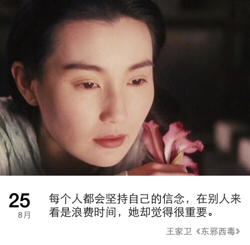 【每日一句】王家卫 《东邪西毒》 张曼玉 文字控 心情语录 日期