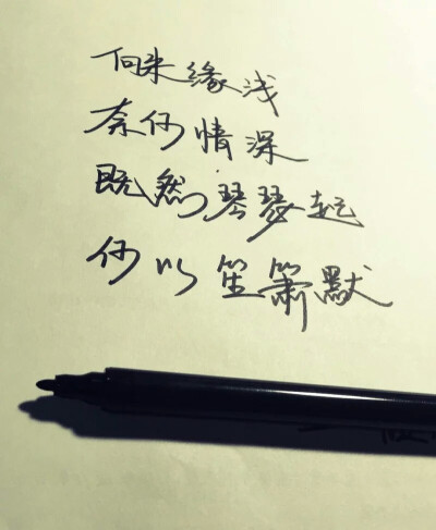 文字控 文字壁纸