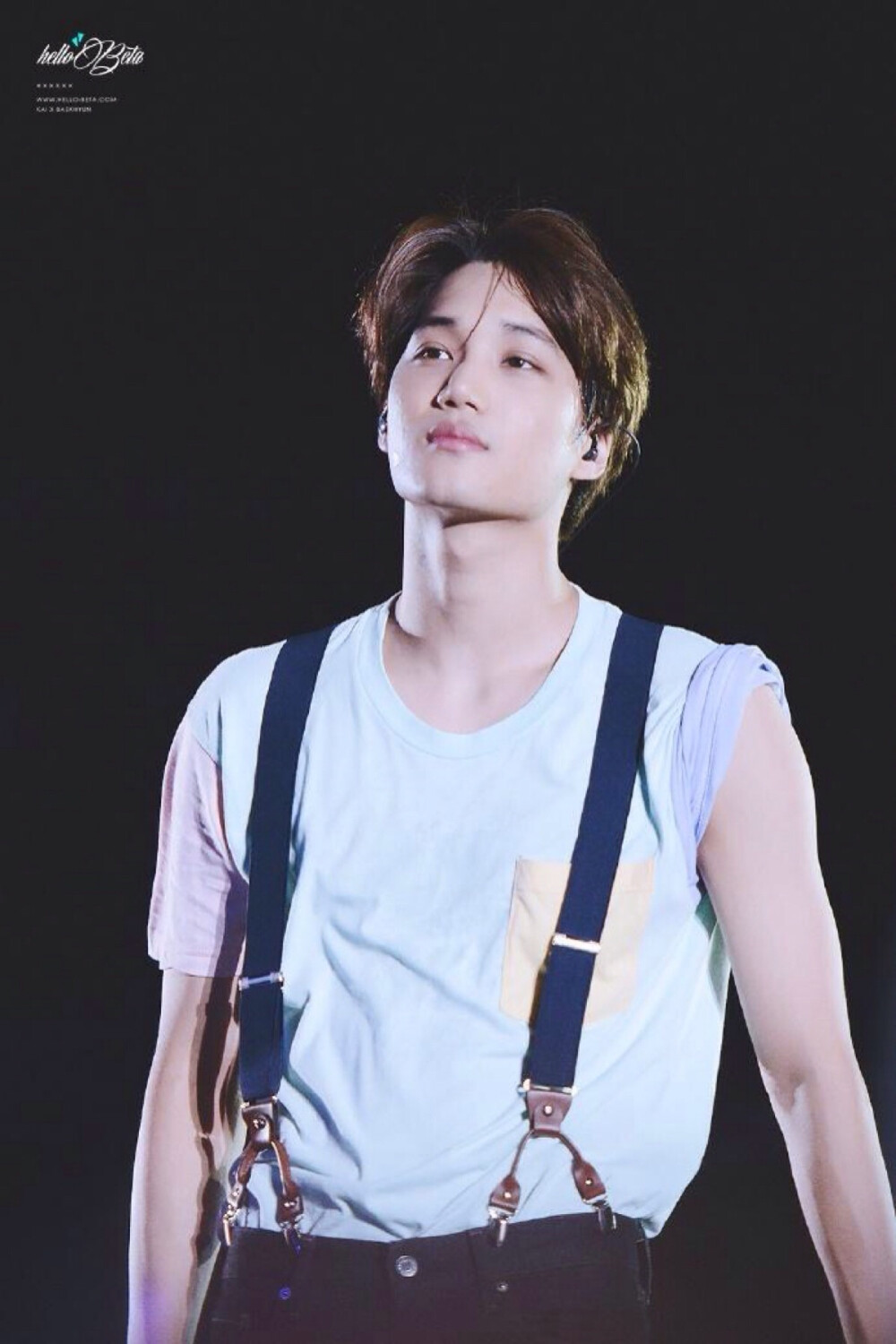 The EXO LuXion 金钟仁 Kai