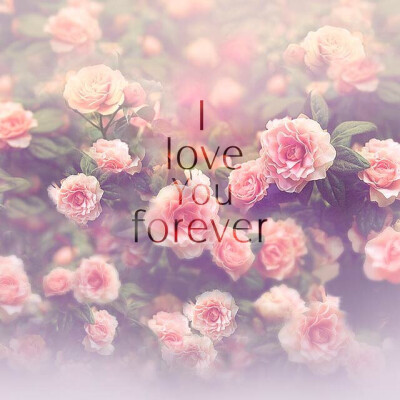 foreverlove艺术字体图片