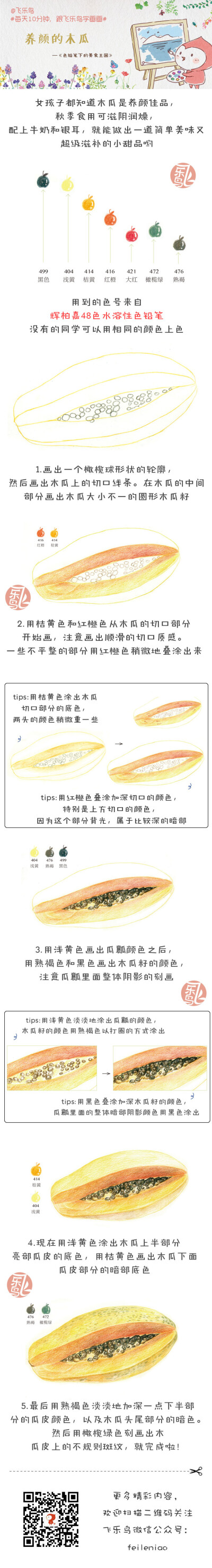 木瓜@飞乐鸟