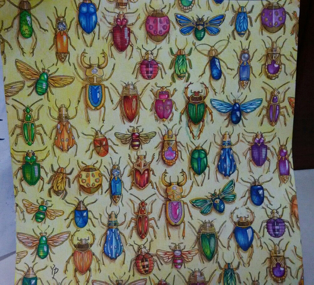 秘密花园昆虫篇竖起