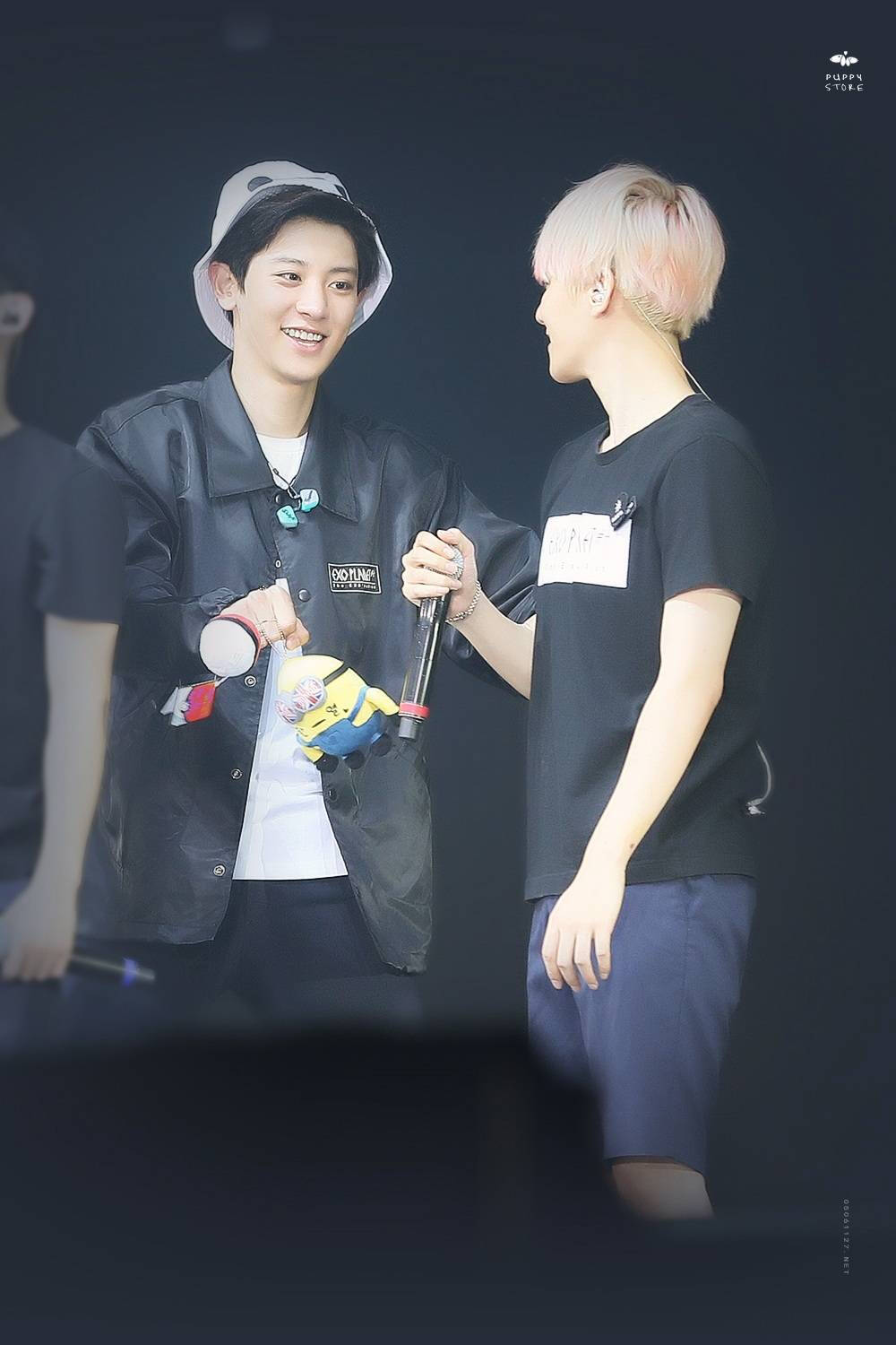 朴灿烈 边伯贤 chanyeol baekhyun 灿白 高清壁纸 来源:微博