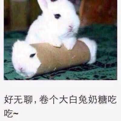 卷大白兔奶糖吃