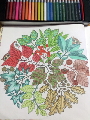 我的秘密花园进行中...