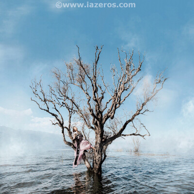 孤树 摄影：海螺壳Azeros