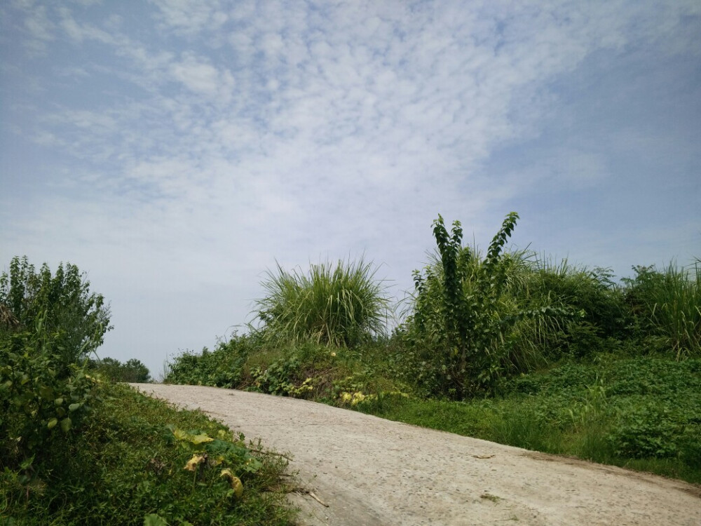 随手拍，家乡的每一处风景。