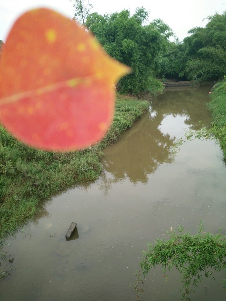 【你选择看见还是看不见。】 随手拍，家乡的每一处风景。