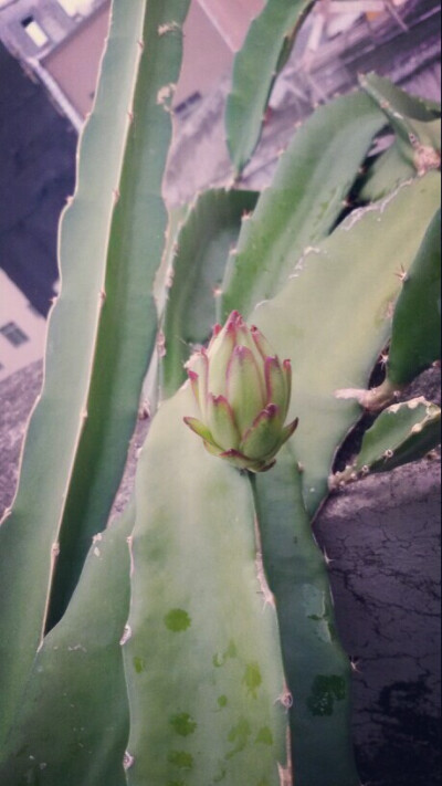 孤独成长是因为没有能倾诉秘密的对象