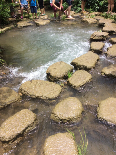 2015夏暑假贵州，荔波小七孔，水上森林，在水里走超爽