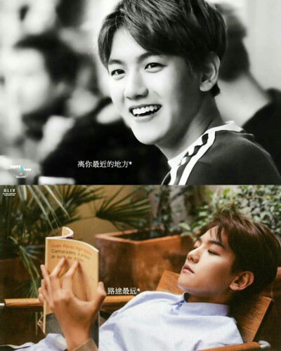 边伯贤 高清壁纸