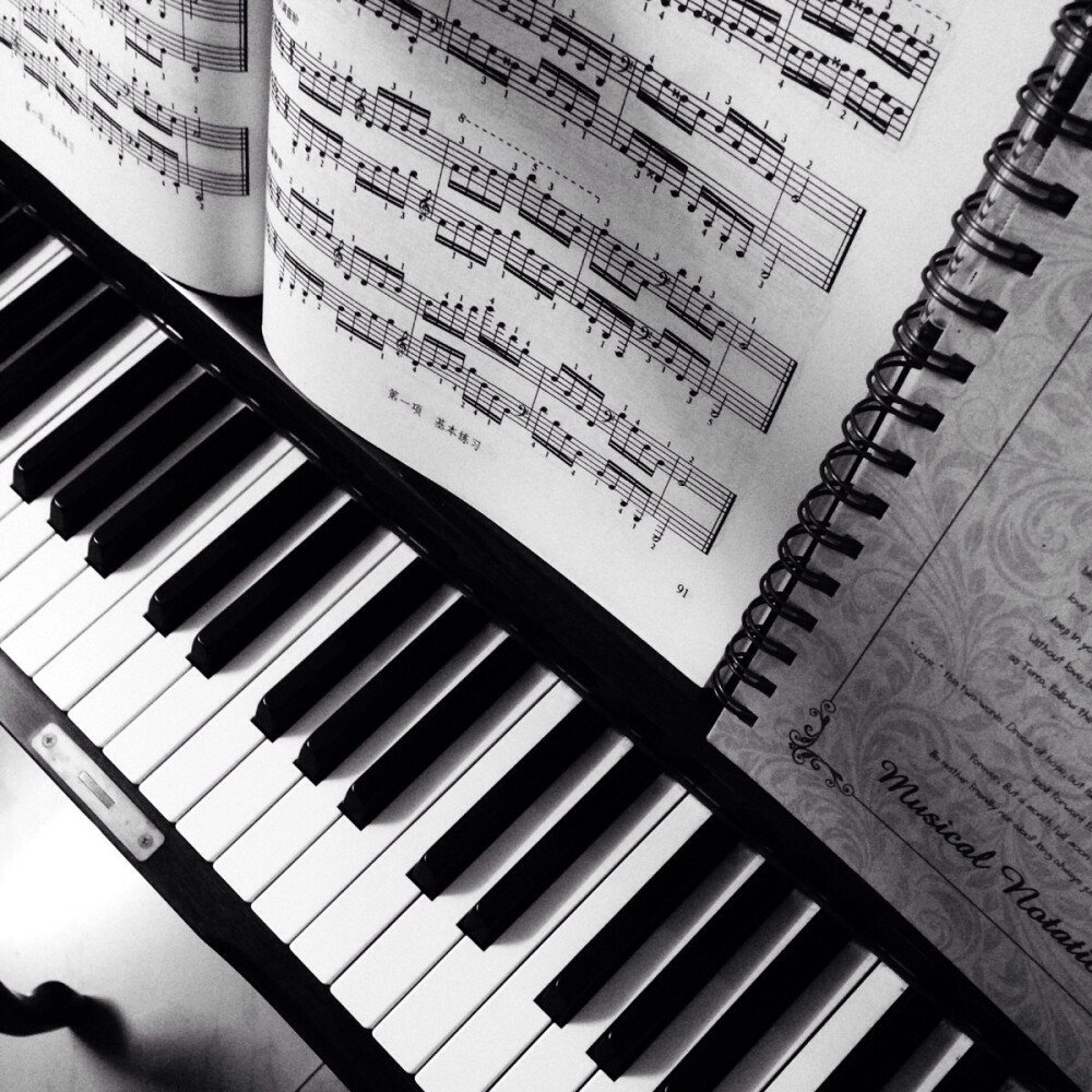 钢琴谱 - 堆糖,美图壁纸兴趣社区