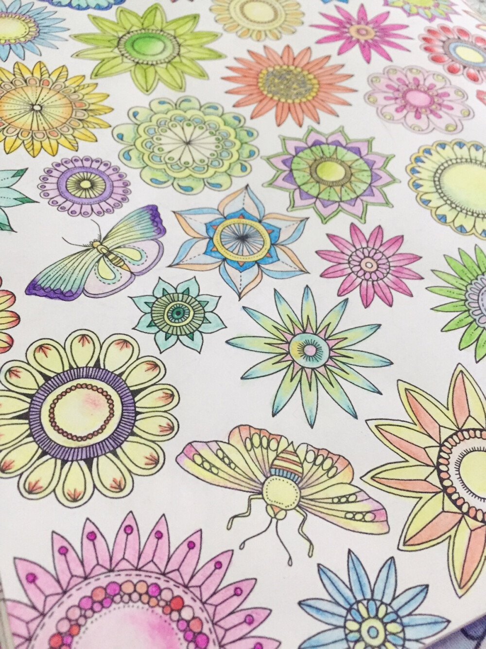 我的秘密花园进行中...