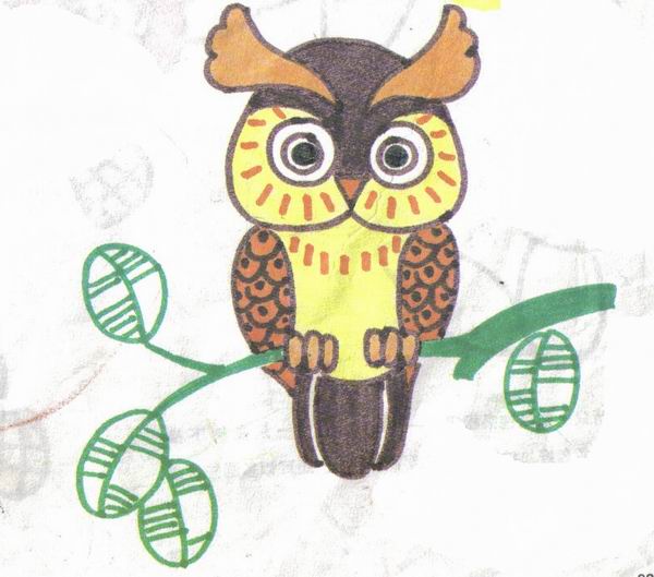 简笔画，儿童画，猫头鹰