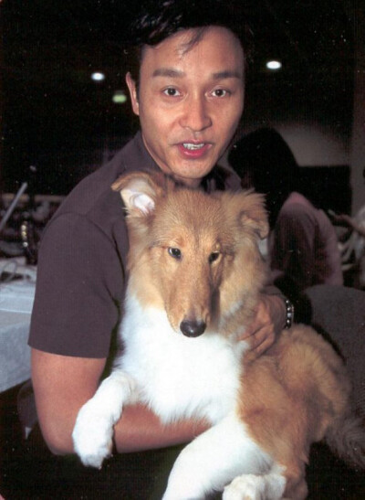 2001.8.19张国荣出席名犬展。人不如狗