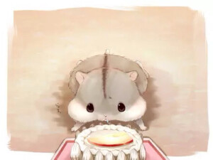 我的萌萌哒小仓仓