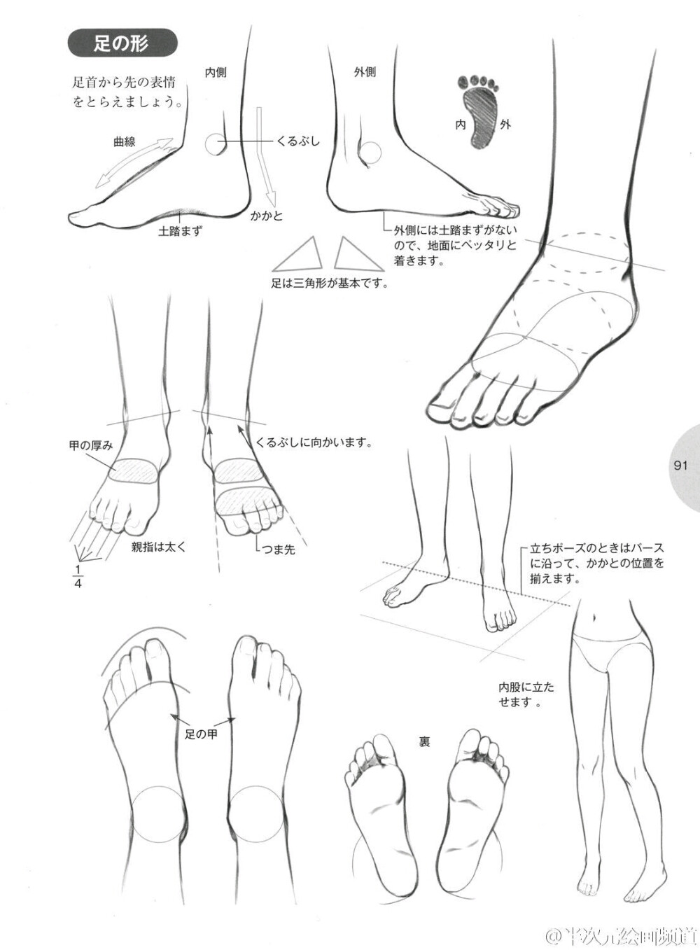 脚与鞋子的画法，高跟鞋、布鞋等6种常见的鞋子，画鞋困难户快快收藏(???ω??)?(???ω ??)