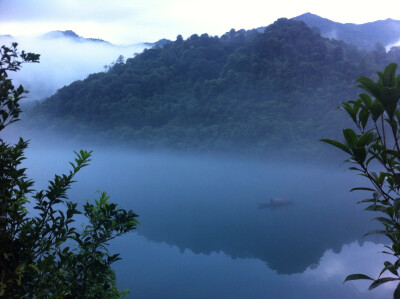 小东江 风景 雾 迷惘 #不要被雾迷失了自己#懂雾懂悟#