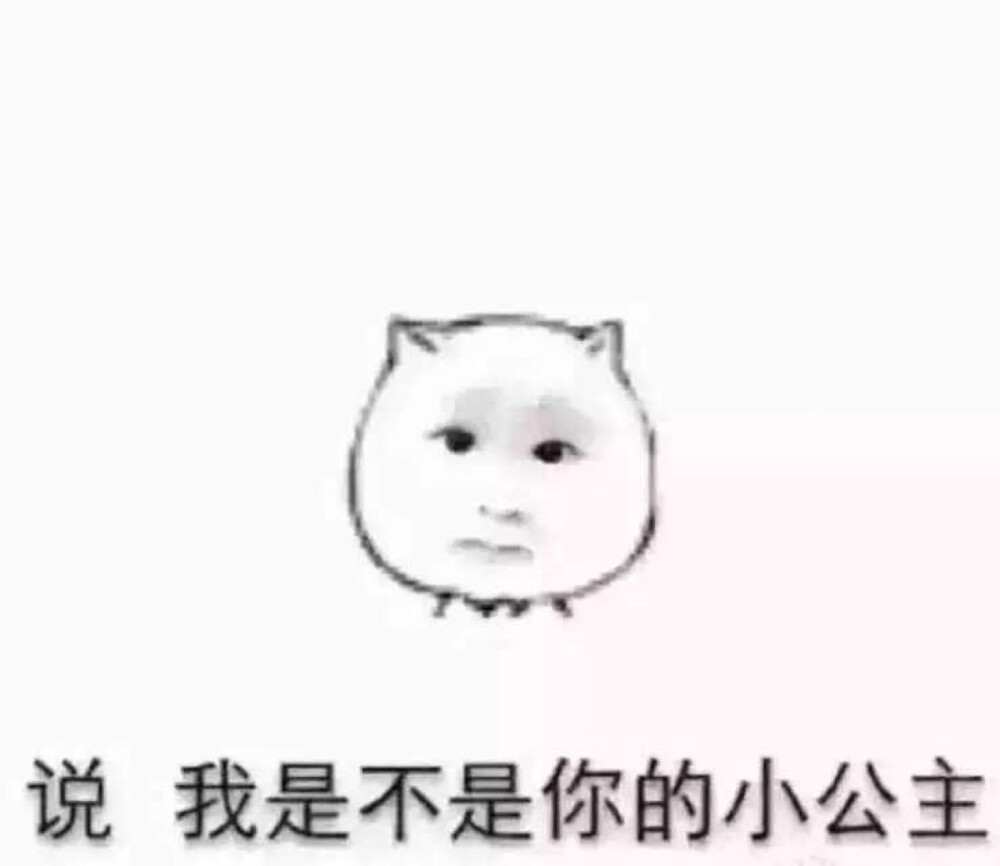 表情