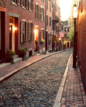 Acorn Street, Boston, Massachusetts, United States。美国波士顿风味小巷橡子街，位于波士顿市区Beacon Hill的深处，是根据当初殖民地的法规所设计的，也是波士顿出镜率最高的一条小街。橡子街很窄，两旁是红砖的房子，最值得一看的就是鹅卵石铺成的路，踩在上面有很不一样的感觉。