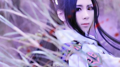 #十三月##1P# —— “为了我，成为容家最好的一把刀?！癱n：莫小鸟#摄影小天使@每周必须少一斤的面包司马 妖梦