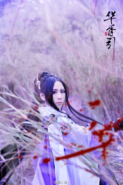 #十三月##1P# —— “为了我，成为容家最好的一把刀。“cn：莫小鸟#摄影小天使@每周必须少一斤的面包司马 妖梦