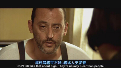 这个杀手不太冷