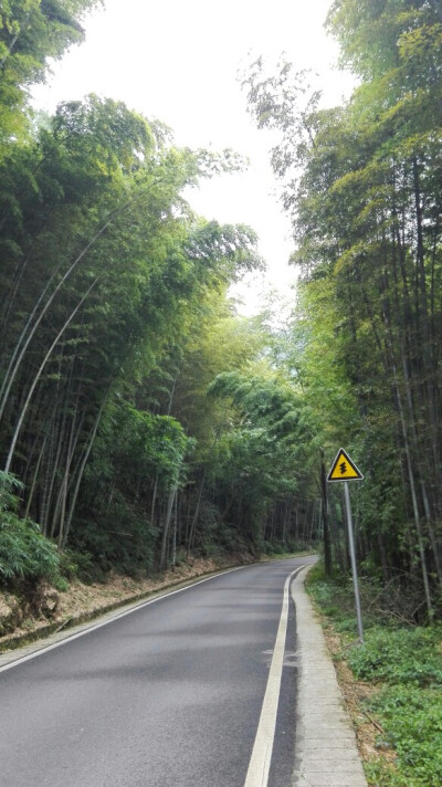 竹海环山路