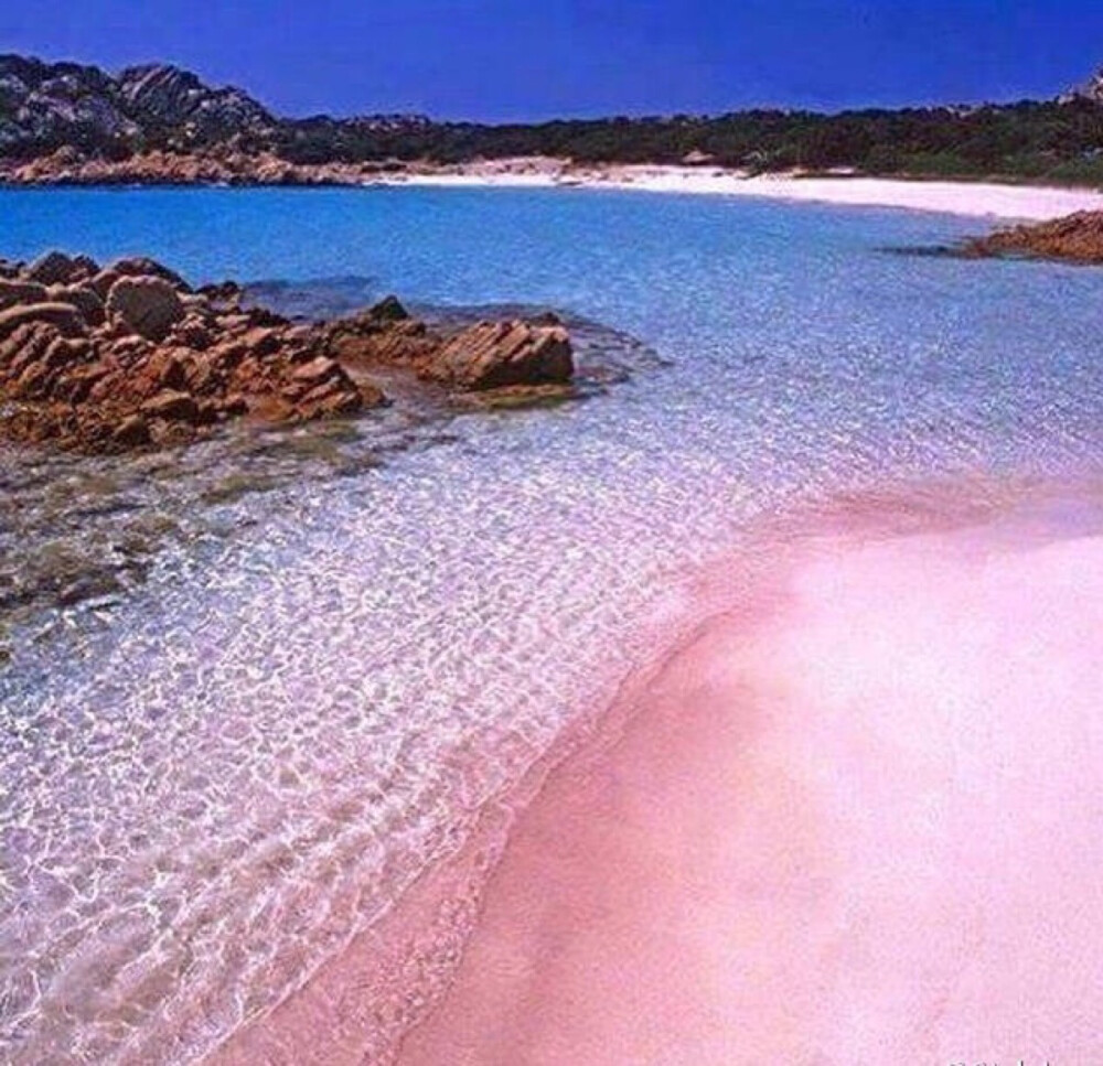 巴哈马哈勃岛的粉色沙滩 Pink Sands Beach。 @猫眼中的平行世界