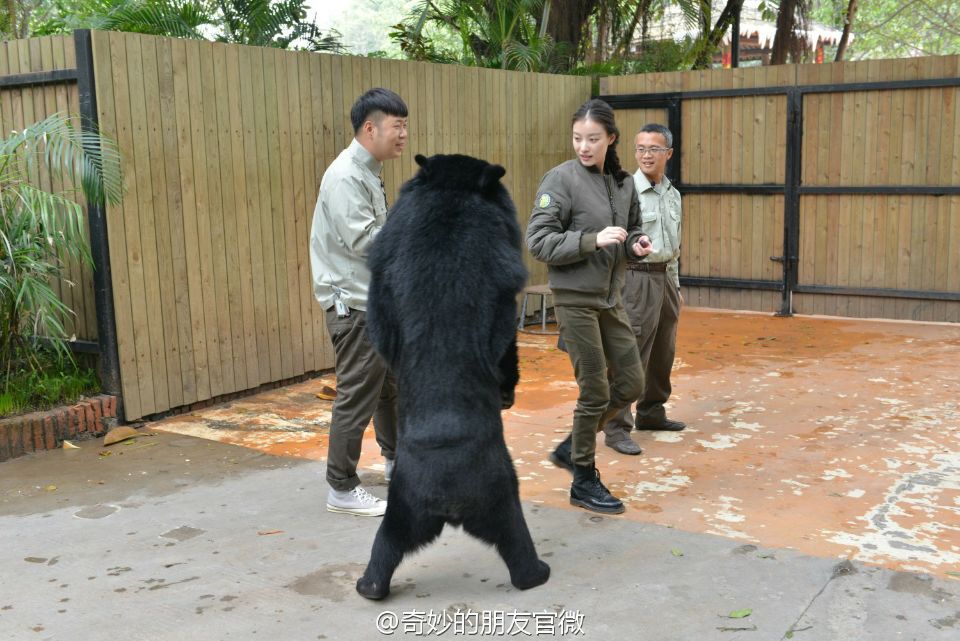 奇妙的朋友