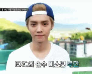 鹿宝宝被虫子吓坏了