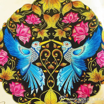 《秘密花园》两只