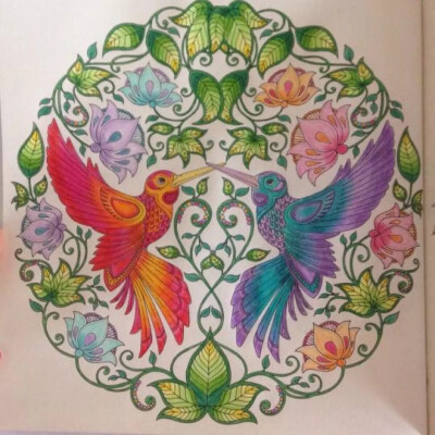 《秘密花园》两只