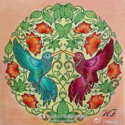 《秘密花园》两只