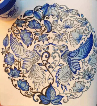 《秘密花园》两只