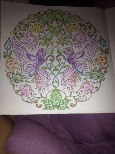 《秘密花园》两只