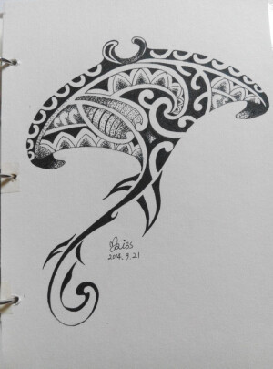 多肉，练手，手绘